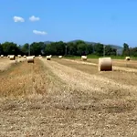 In Umbria Near Trasimeno דירה