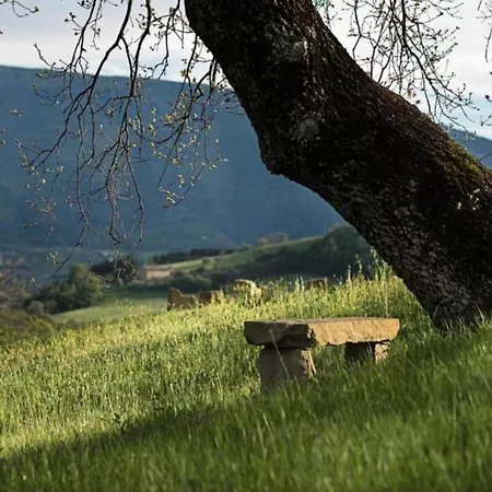 In Umbria Near Trasimeno