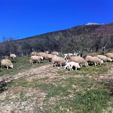 In Umbria Near Trasimeno * Mantignana