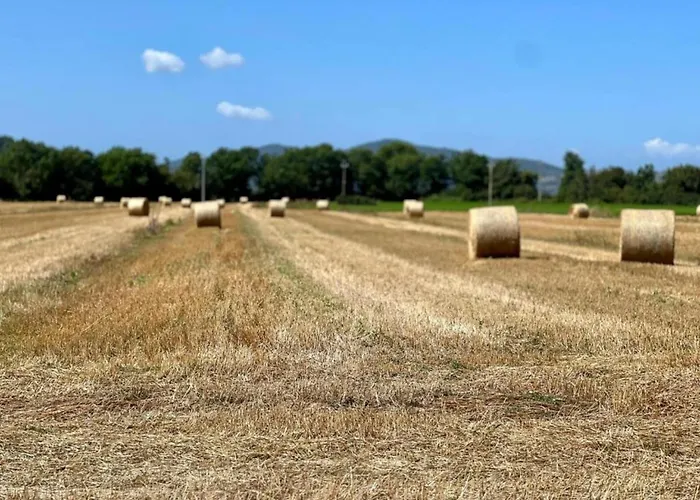In Umbria Near Trasimeno Apartamento