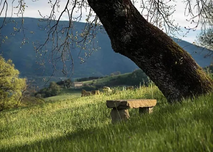 In Umbria Near Trasimeno