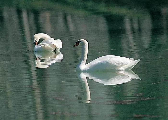 Apartamento In Umbria Near Trasimeno Mantignana