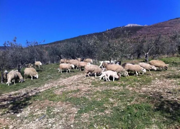In Umbria Near Trasimeno * Mantignana